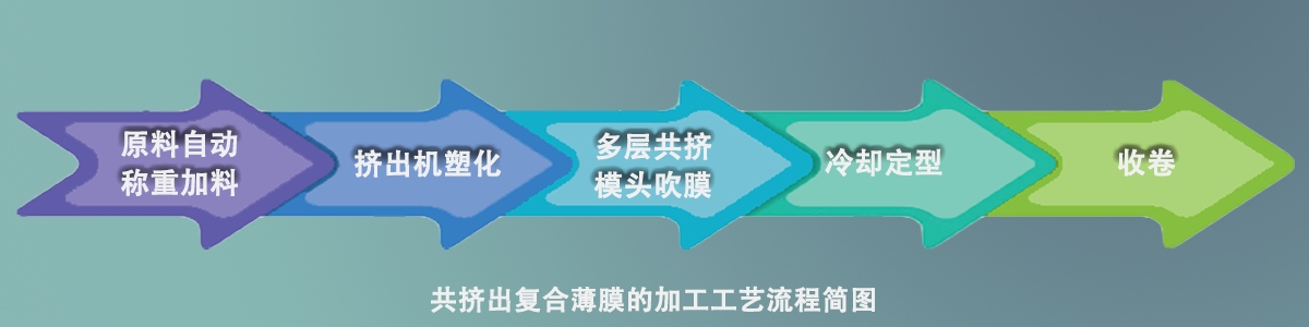 Organigramme du processus de coextrusion d'un film